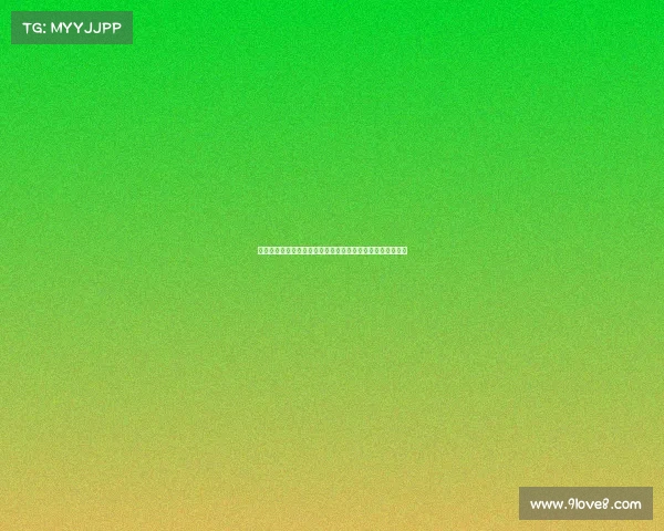 尤文新援若昂马里奥：我与坎塞洛特点相似他是我的参照对象